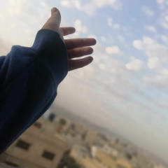 فاطمة تيسير