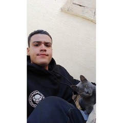 Youssef H Abdelfatah