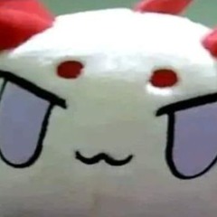 Dr.TheFluff