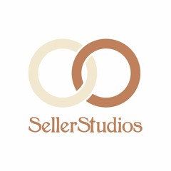 SellerSpins