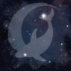 smallBlueWhale