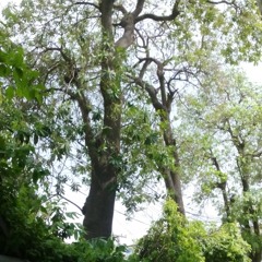 I'm afraid we are having a few problems