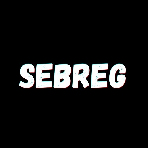 SEBREG’s avatar