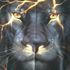 Yogi Ghetto Rican Reyes