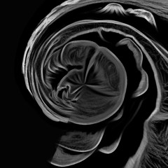 Abstract Pattern