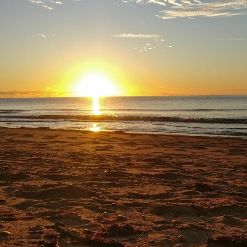 El Camino De Las Relaciones