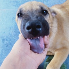 Bố Của Dj Thái Hoàng ❗