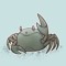 Lesser Crab