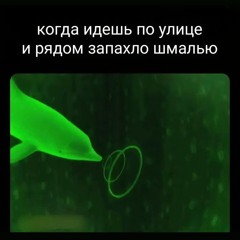 Просто Чел