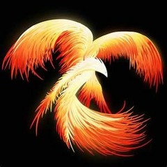 Phoenix_gspz