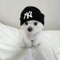 yvan