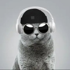 ElectroDude