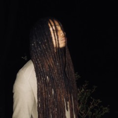 NTF Sean