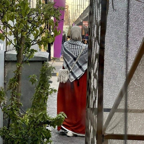 بصائر في أحداث غزة د أحمدعبد المنعم