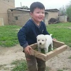 Бекмурат Тухтамуратов