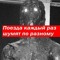 некронеко шотакунчик