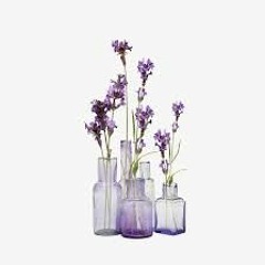 💜lavender sounds💜