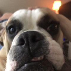 V