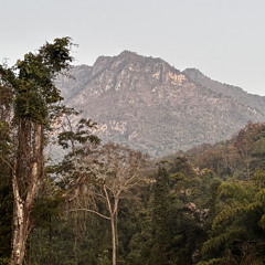 Aum tittanai