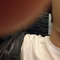 JNEO