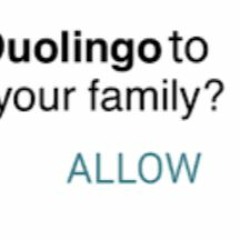 I'm taking your family if you don't do French