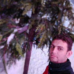 Mahmoud Sobhy