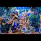 nimai Radha madhava dasa
