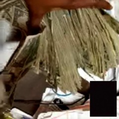 pollo al curry con o sin ser una