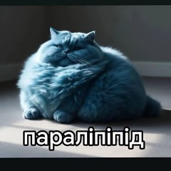 піпідастр