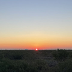 Solis