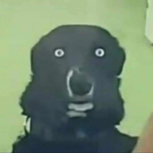 stream-hacobo-poopoo-man-music-listen-to-songs-albums-playlists-for