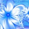 BLUE MAGNOLIA