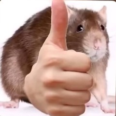Lunitaa