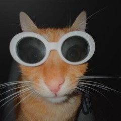 kitthornz