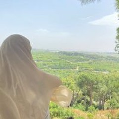 Zainab Ysn