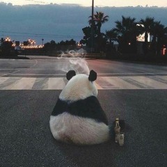 Wasted Panda