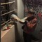louellaraps_9424