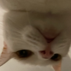 ———