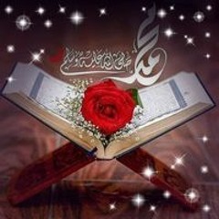 Om Mohamed Samy