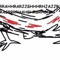 Lizzard <3