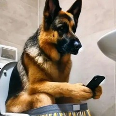 mimax