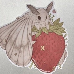 ٭✩♡Lav ♡✩٭