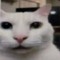 alixxcv