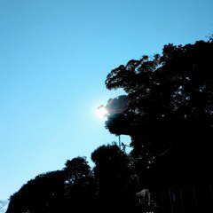 小麦粉ジュース