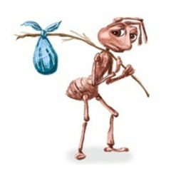 ayberkcimnapiyon