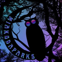 Parker Lillie - Miakoda Parks to Present