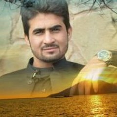 Haseeb Arman