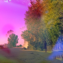 نورادين CouCouNouNou ( alles.jetzt. )