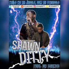 DJ Shawn Ditty (Di Gyal Dem Mechanic)*