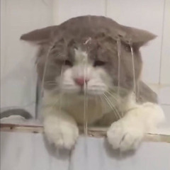 아우엥